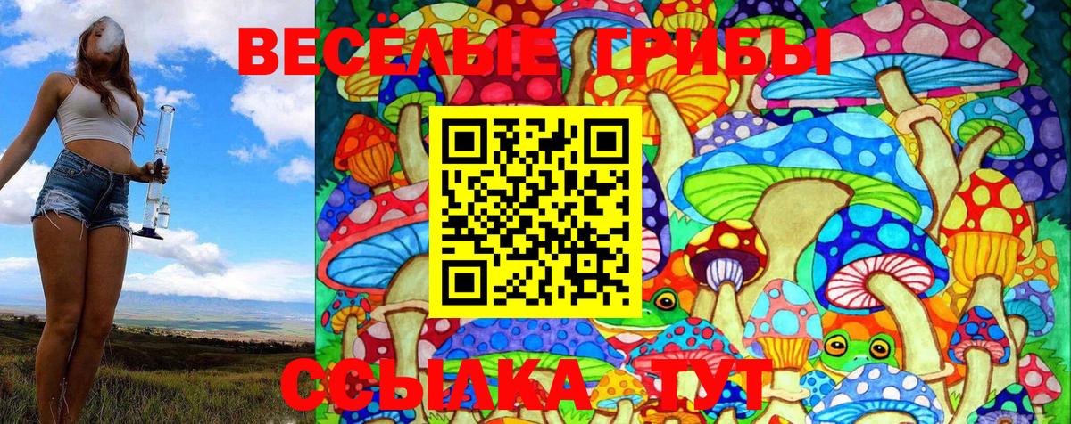 Галлюциногенные грибы GOLDEN TEACHER Калуга
